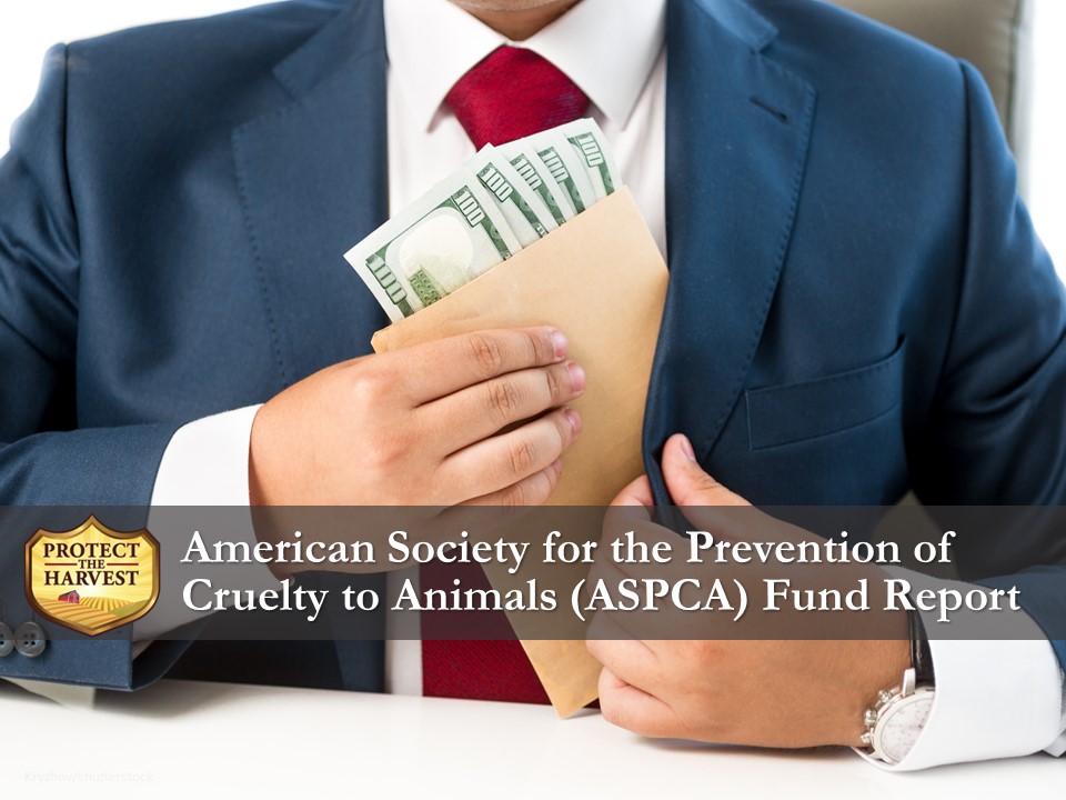 A mere 2% of ASPCA's budget is allocated to actual animal shelters.

#animalscam #animalextremism #knowwhereyourdonationsgo

protecttheharvest.com/news/american-…