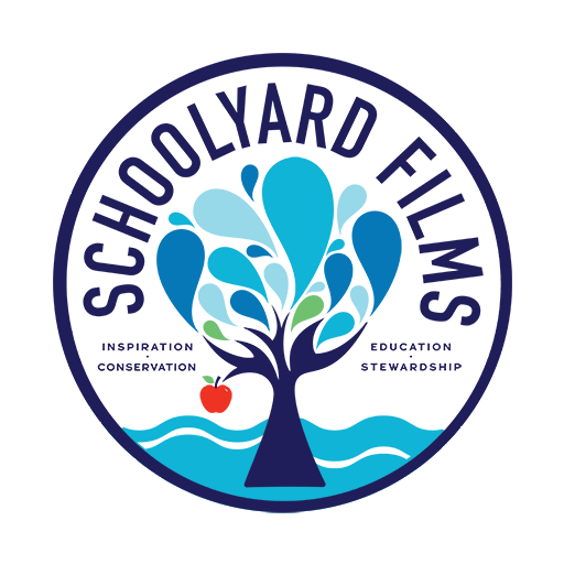 Hey #Teachers & #Parents – #SchoolyardFilms has a library FULL of #science films, study guides, supplemental activities, & lessons for teaching across the #curriculum.

schoolyardfilms.org/syf-films-and-…

#classroom #scienceteachers #STEM #homeschool #environmentaleducation #conservation