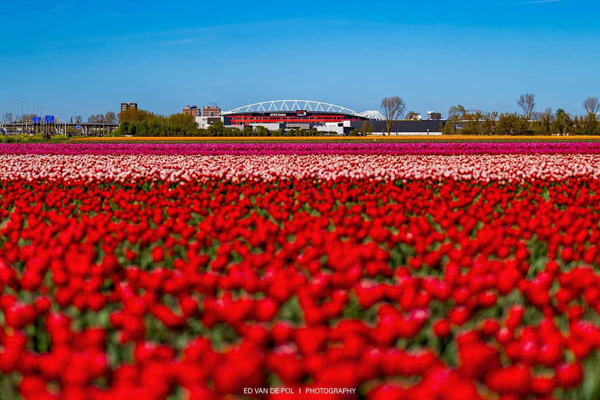 Ed van de Pol tweet media