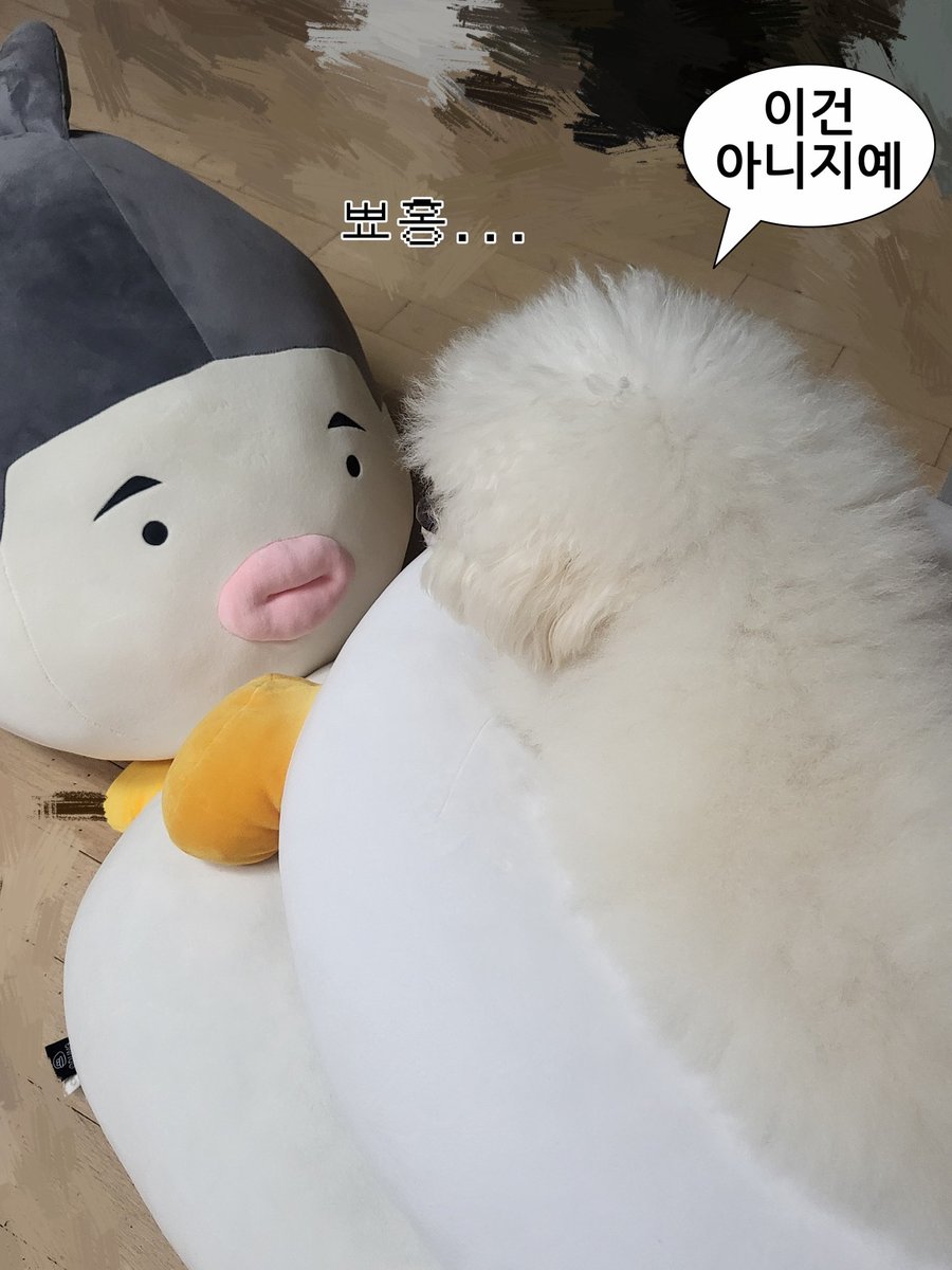 zzazzans's tweet photo. 공계가 몇 없어서 이곳에 올립니다...
옆 동네 대형 인형이 너무 탐나 구매한 후기

너무 커서 강아지랑 잠시 대치 중

구매한 대왕 인형은 이쪽 (@_Fu_fish ) 

대왕 인형 만드시고 배송하시느라 고생 많으셨습니다 짱! https://t.co/fvFXH1w3k8