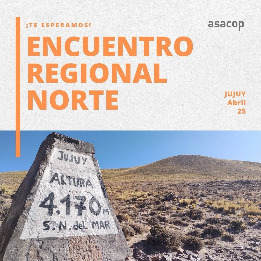 Volvemos al NORTE ⛰️🦙

El 25/4 nos encontramos en #Jujuy en el 2° Encuentro Regional del año. Junto a colegas de la #comunicacionpolítica y la #consultoriapolitica en una jornada de formación y aprendizaje con grandes especialistas!

¿Te sumás?  🤓

#compol #asacop #politica