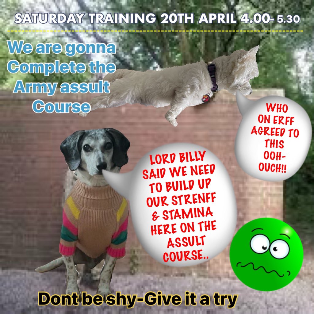 #zshq 😝😜🤪🤨🧐😗😙😚😋😗😝😙😜😚🤪😋🤨😛🧐😗😝 Our esteemed founder Lord Winston, & his nephew Lord Billy have suggested we need to focus on our next saturday training on STRENFF & STAMINA. Finlay and I think the best way to do that is to complete an ASSALT COURSE. YEHHHH🤪