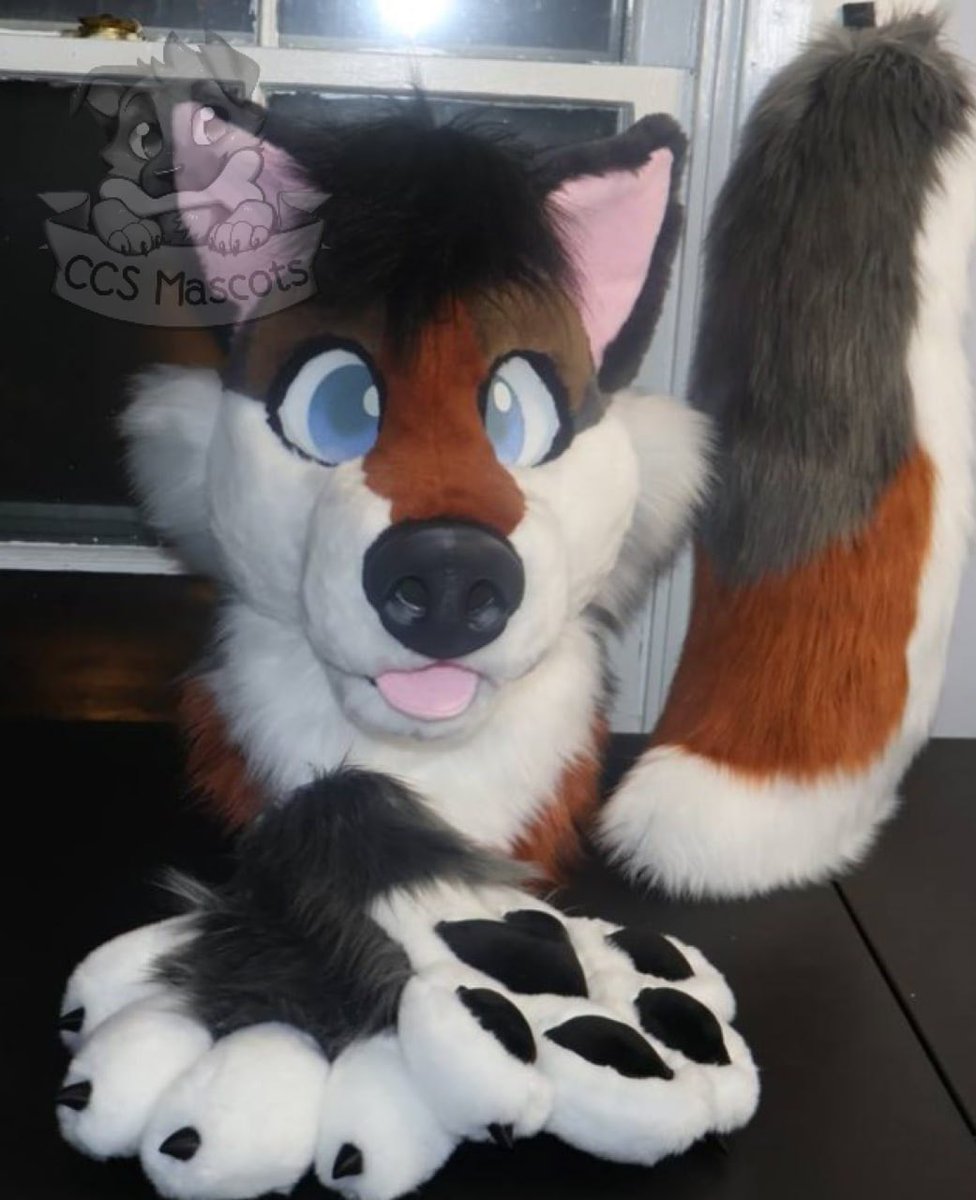 CCSMascots's tweet photo. The coyote I brought with me to @Furcationland  came back with me. But….they are now available to snag via my Etsy store. Comes with head hands and tail. International shipping is available. 

https://t.co/6zcStStDTF

#fursuitmaker #furryfandom #furry #coyote #fursuit #costume https://t.co/P1zrvzvBmp