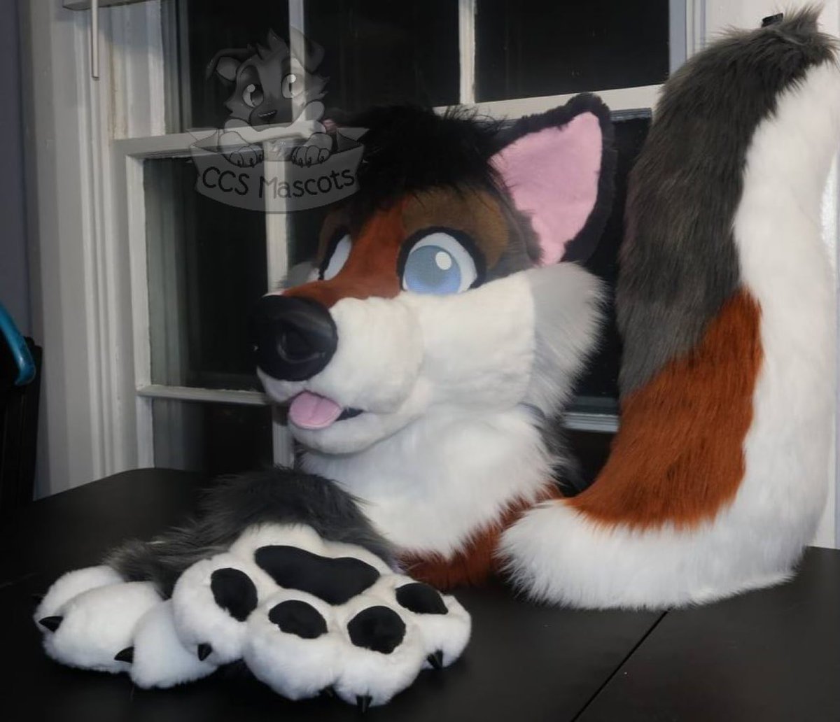 CCSMascots's tweet photo. The coyote I brought with me to @Furcationland  came back with me. But….they are now available to snag via my Etsy store. Comes with head hands and tail. International shipping is available. 

https://t.co/6zcStStDTF

#fursuitmaker #furryfandom #furry #coyote #fursuit #costume https://t.co/P1zrvzvBmp