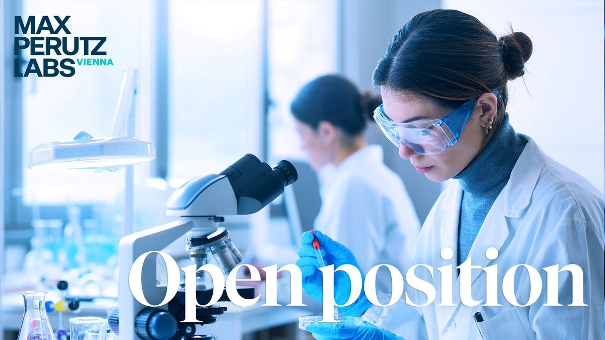 Exciting #postdoc opportunity 👀 The @martens_sascha lab and the Winter lab (@CeMM_News) are looking for a researcher to combine biochemistry, cell biology and chemical biology skills to reprogram molecular machines driving autophagy 💡More info ➡️ tinyurl.com/43kjf7vs