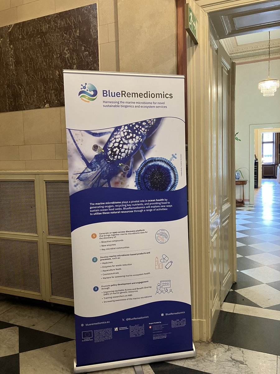 BlueRemediomics tweet media