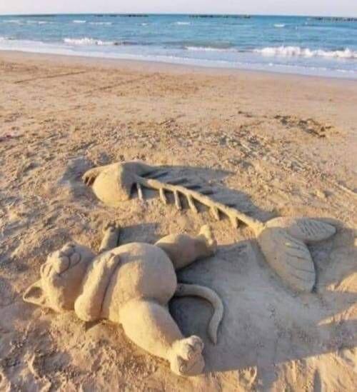 Happy Kitty 😺🐾🐟🏖️🌅😃
#TunaTuesday #SandSculpture #tuesdayvibe #TuesdayMotivaton #TuesdayMorning #TuesdayFun