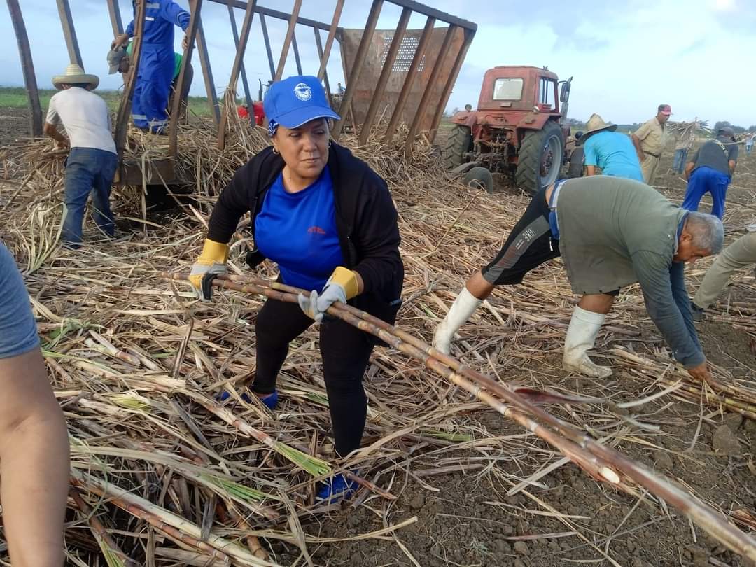 Junto a los masoenses en esta jornada productiva, <a href="/YudelkisOrtizB/">Yudelkis Ortiz Barceló</a>, Primera Secretaria del PCC en Granma, la Gobernadora <a href="/YanetsyTerry/">Yanetsy Terry Gutiérrez</a> y Migdalia Barreiro, Secretaria de la CTC, así como autoridades políticas y gubernamentales de Bartolomé Masó.