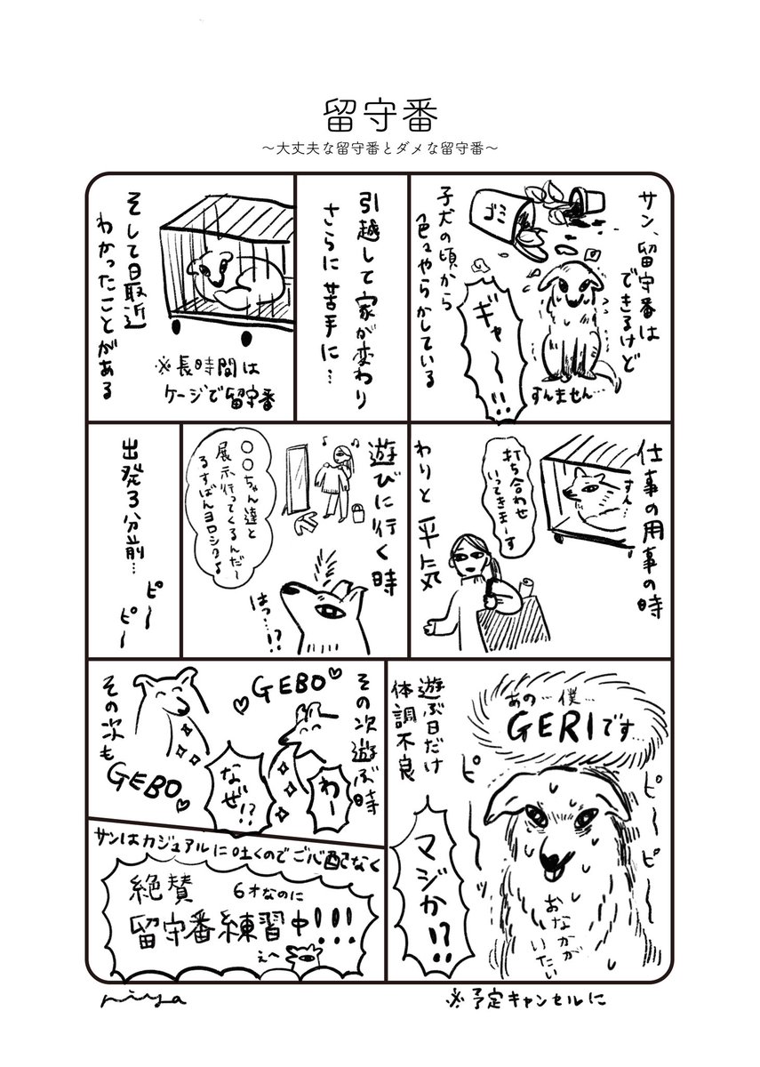 犬と悲しみの留守番
もう6歳過ぎの成犬なのに外出時いまだにハラハラする

#dogstories2展 