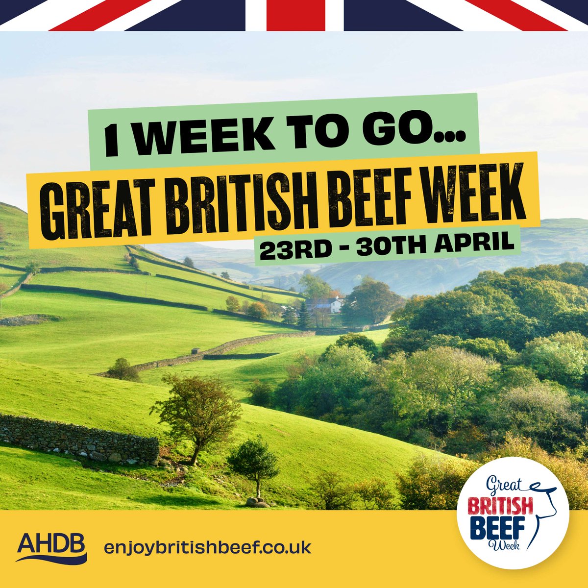 📅1 week until #GreatBritishBeefWeek24 ❗ Passionate about British beef? Join us in celebrating the versatility & exceptional taste of #NaturallyDeliciousBeef 🥩 Follow us for: ✅ Farmer stories ✅ Yummy recipes ✅ Beef farming insights 💻: ow.ly/jESK50RaeQj #GBBW24