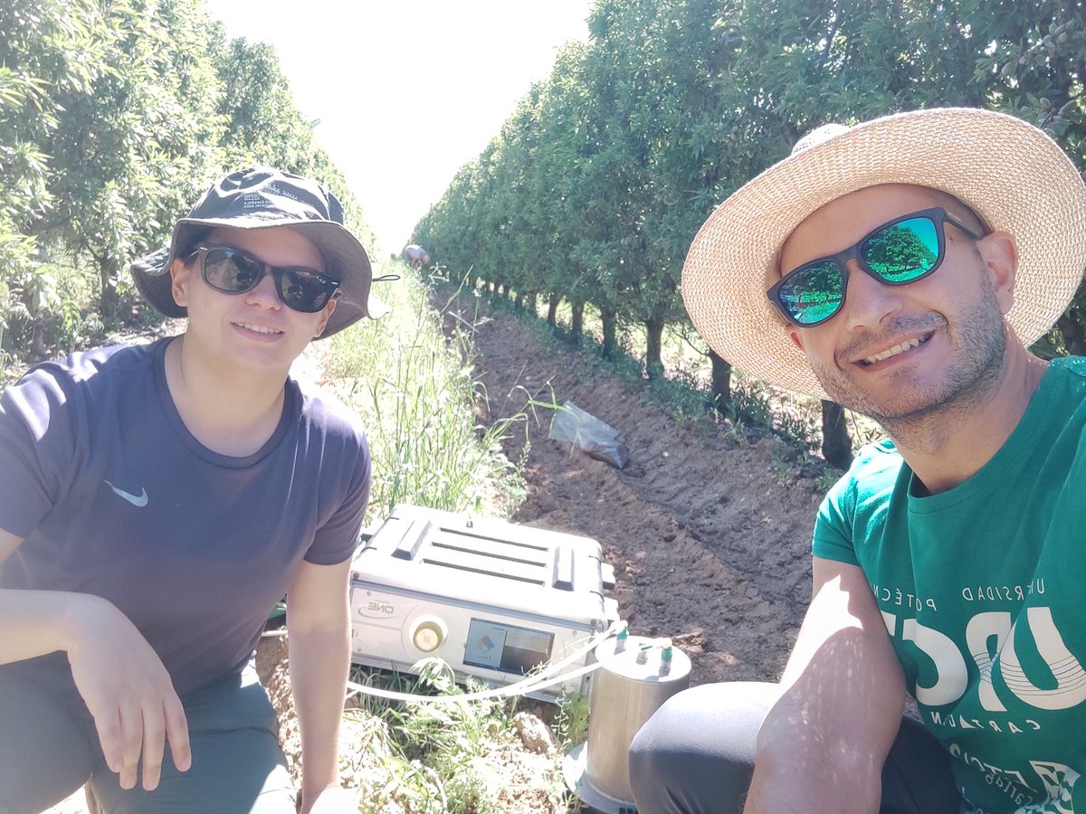 zornoza_raul's tweet photo. Today we celebrate one year of monitoring soil functionality and carbon balance in intensive orchards with and without cover crops in central Spain. First results coming soon. #climcover project @CienciaGob @UPCToficial @etsiaupct @MohamedMdaini8 @elena_samper @miriam_valverde https://t.co/k57nEtIlSE