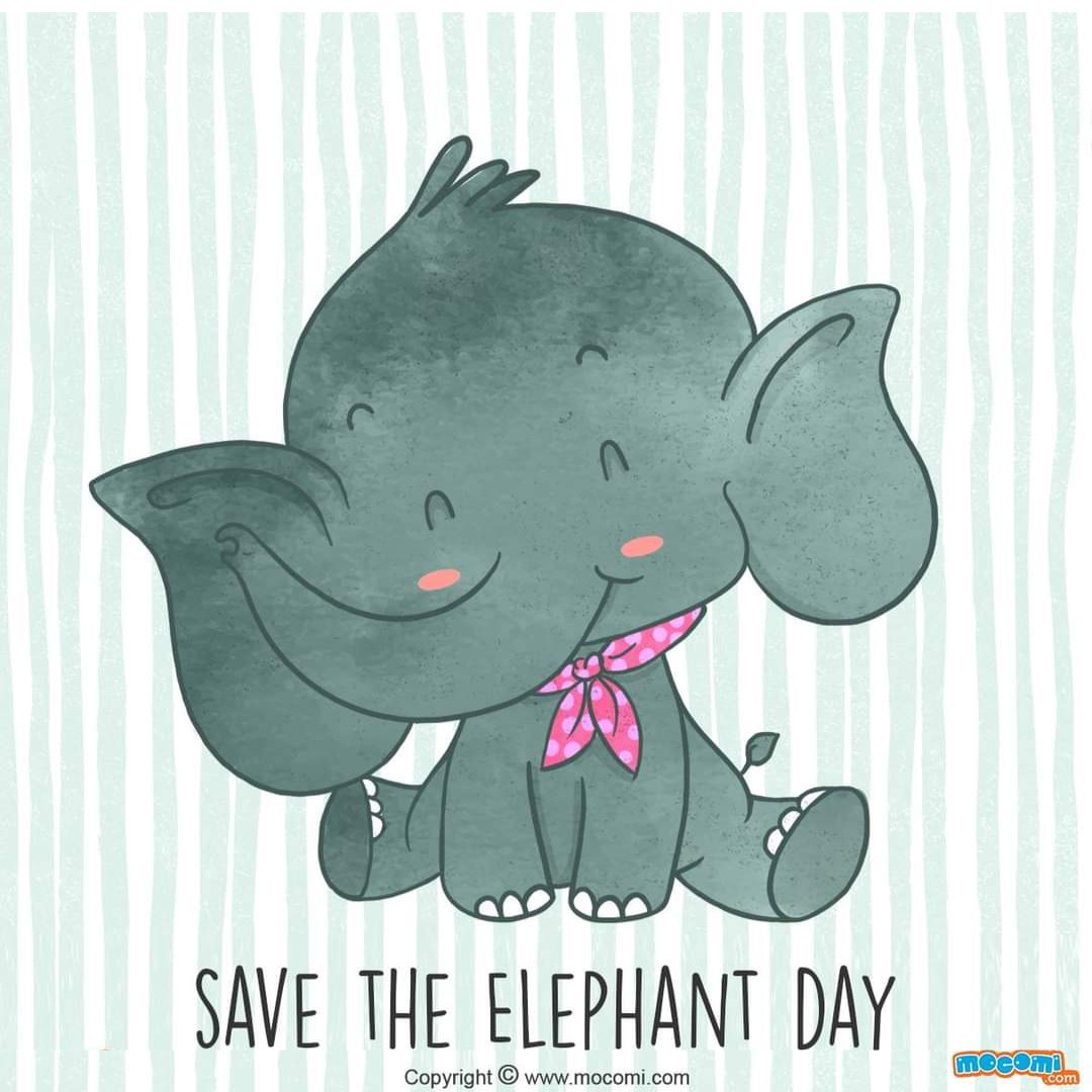 Let's unite to protect these gentle giants! Today, and every day, let's celebrate Save The Elephant Day by raising awareness about the importance of elephant conservation. Together, we can make a difference!

#SaveTheElephantDay #SaveElephants #ProtectWildlife #MocomiKids