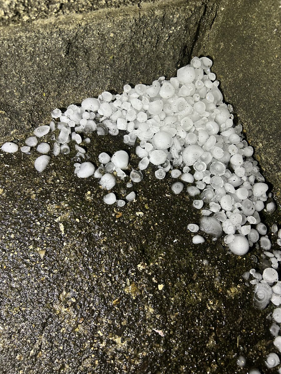 雷すごいなー、めっちゃ光るなーって思ってたら

え、滝！？なに！？なんの音！？ってなって外見たら
こんな大きさの雹降ってきてたんやけど
車のフロント無事でよかった🤣