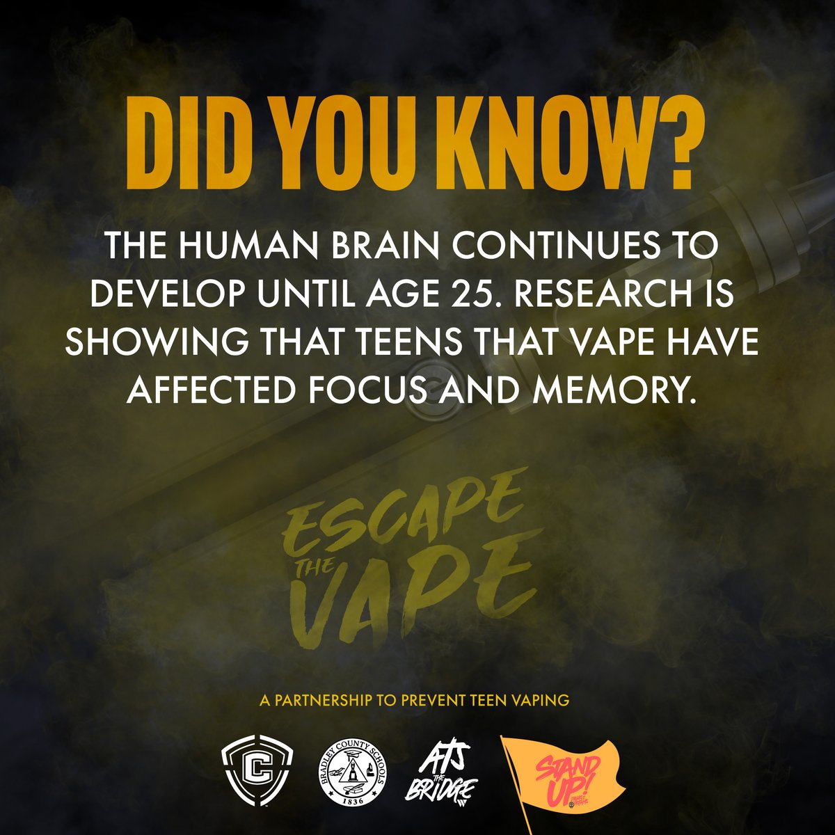 Did you know? The human brain continues to develop until around age 25! But here's something to think about: recent research suggests that teens who vape might be impacting their focus and memory. It's crucial to understand how our choices today can shape our brains for tomorrow.