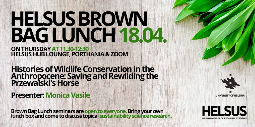 Join the HELSUS Brown Bag Lunch on Thursday at 11:30-12:30 @monica_vasile 's talk examines wildlife conservation histories, focusing on instances where species were reintroduced to the wild and rescued from extinction More info & Zoom link ➡️bit.ly/3SvIRi1
