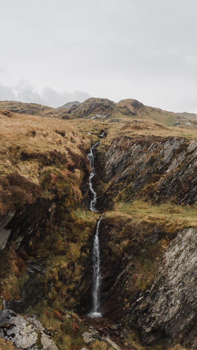 Chris Harvey tweet media