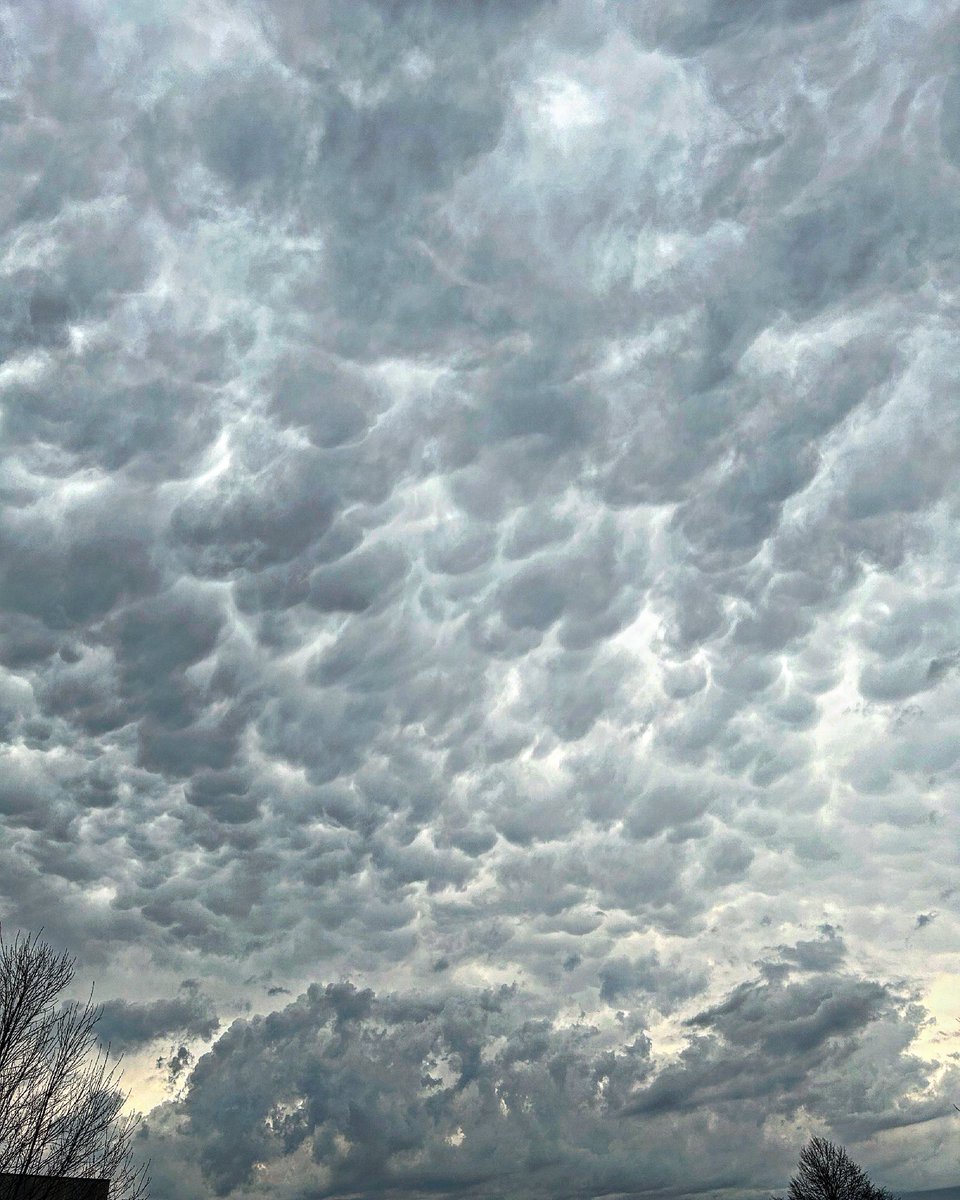 NickPetersPhoto's tweet photo. Some nice mammatus clouds over Lakeville, MN just a few minutes ago! @NWSTwinCities @ian_leonard @JimCantore @mikebettes @JYuhasKSTP @BelindaKARE11 @StormHour @CodyMatzFox9 @FOX9 @McDermedFox9 https://t.co/pEY22fewdZ