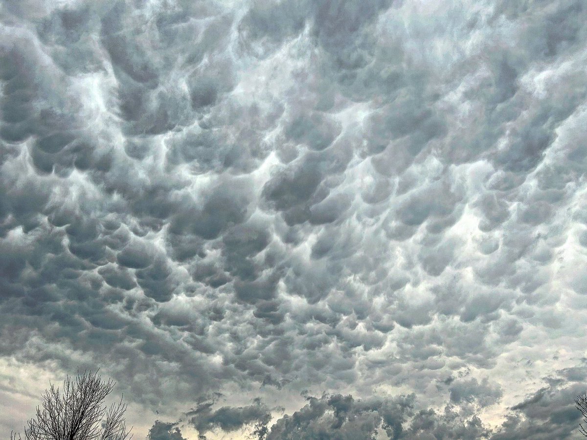 NickPetersPhoto's tweet photo. Some nice mammatus clouds over Lakeville, MN just a few minutes ago! @NWSTwinCities @ian_leonard @JimCantore @mikebettes @JYuhasKSTP @BelindaKARE11 @StormHour @CodyMatzFox9 @FOX9 @McDermedFox9 https://t.co/pEY22fewdZ
