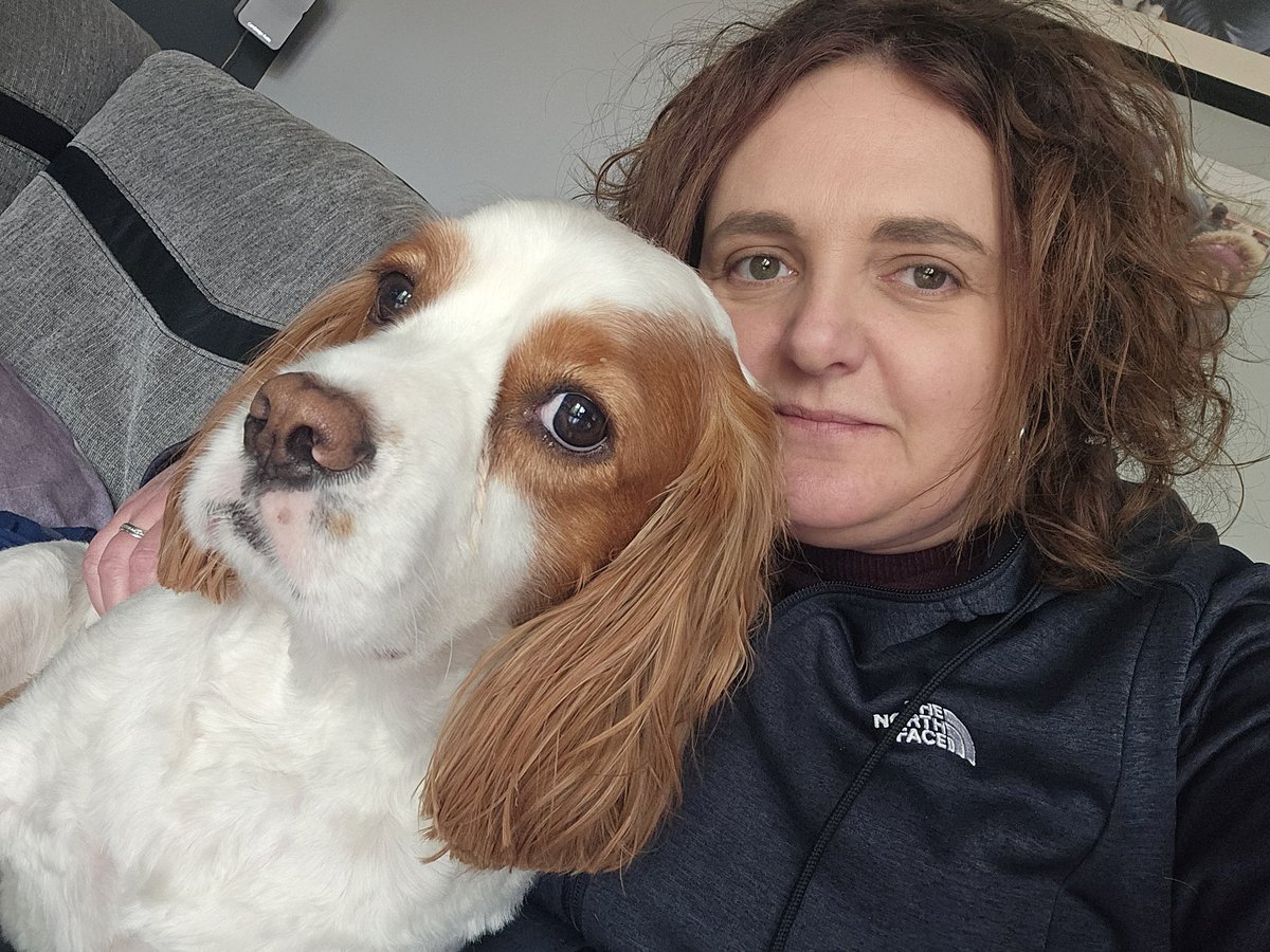 He's a handsome one is our Chester and has the most expressive eyes of any dog we have ever had 😍 #cavpack #dogs