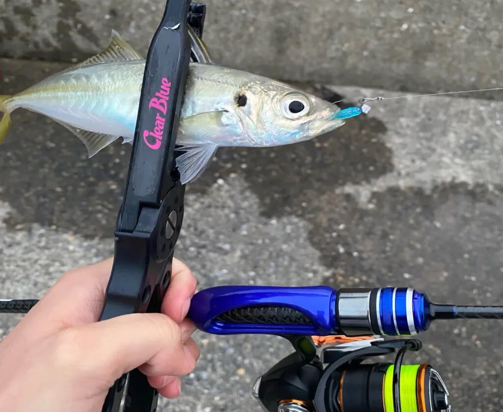 クリアブルーClear Blue 511 BASK ライトゲーム