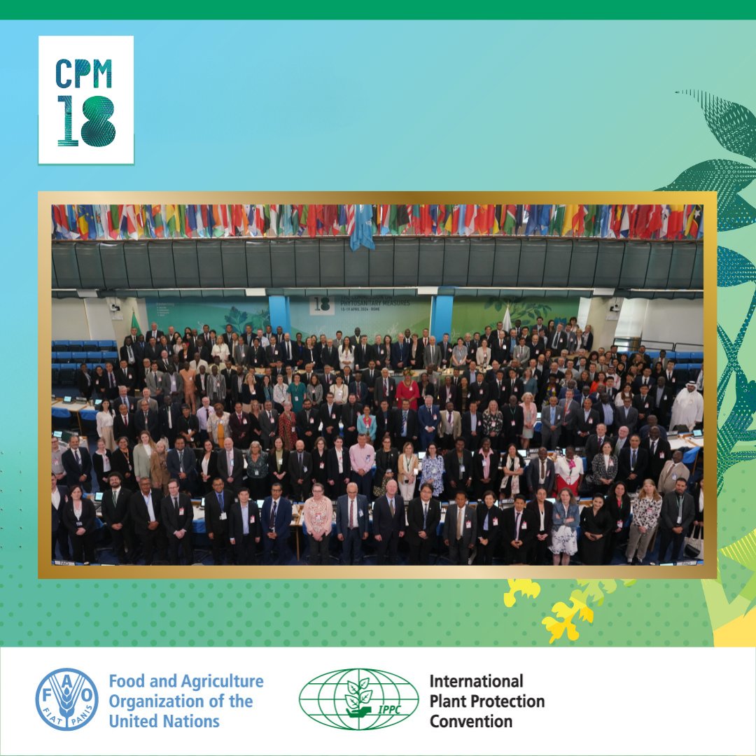 Afternoon session at #CPM18: Focused discussions on enhancing phytosanitary measures and adopting global plant health standards. Tune in via webcast to follow the progress in protecting plants worldwide: bit.ly/4aSsYK3🌱🔬 

#PlantHealth 🌱