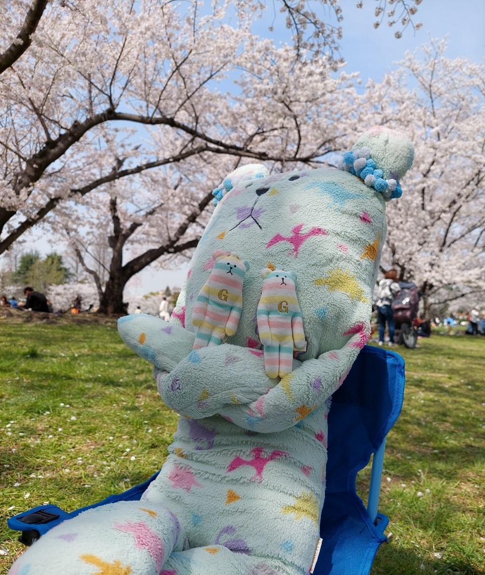 こんばんは
みなさんはお花見🌸行けましたか？
今年はくまことお花見に行けなかったので去年の写真を。

あれ？腕に抱えているのは誰かな？

#クラフトホリック
#スロース
#ぬいぐるみ
#ぬい撮り
#花見
#桜