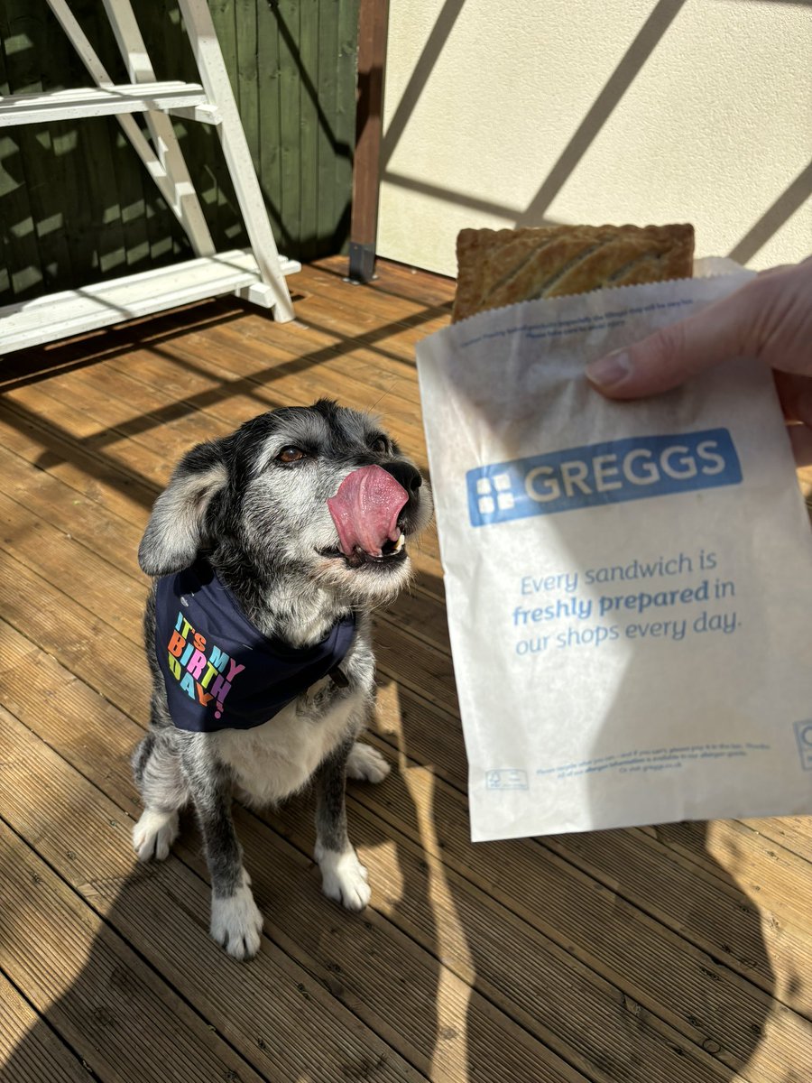 Happy birthday Charlie! 14 years old today and ready for his yearly steak bake from <a href="/GreggsOfficial/">Greggs</a>
