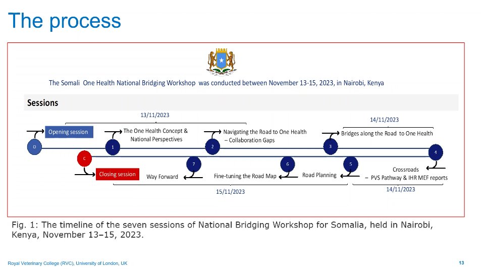 At the @NTD_NGOs Cross-Cutting Groups webinar we are first hearing from Chair of @MoH_Somalia One Health Dr Osman, we first learn about interactive & participatory approach to operationalising the #OneHealth road map in Somalia.