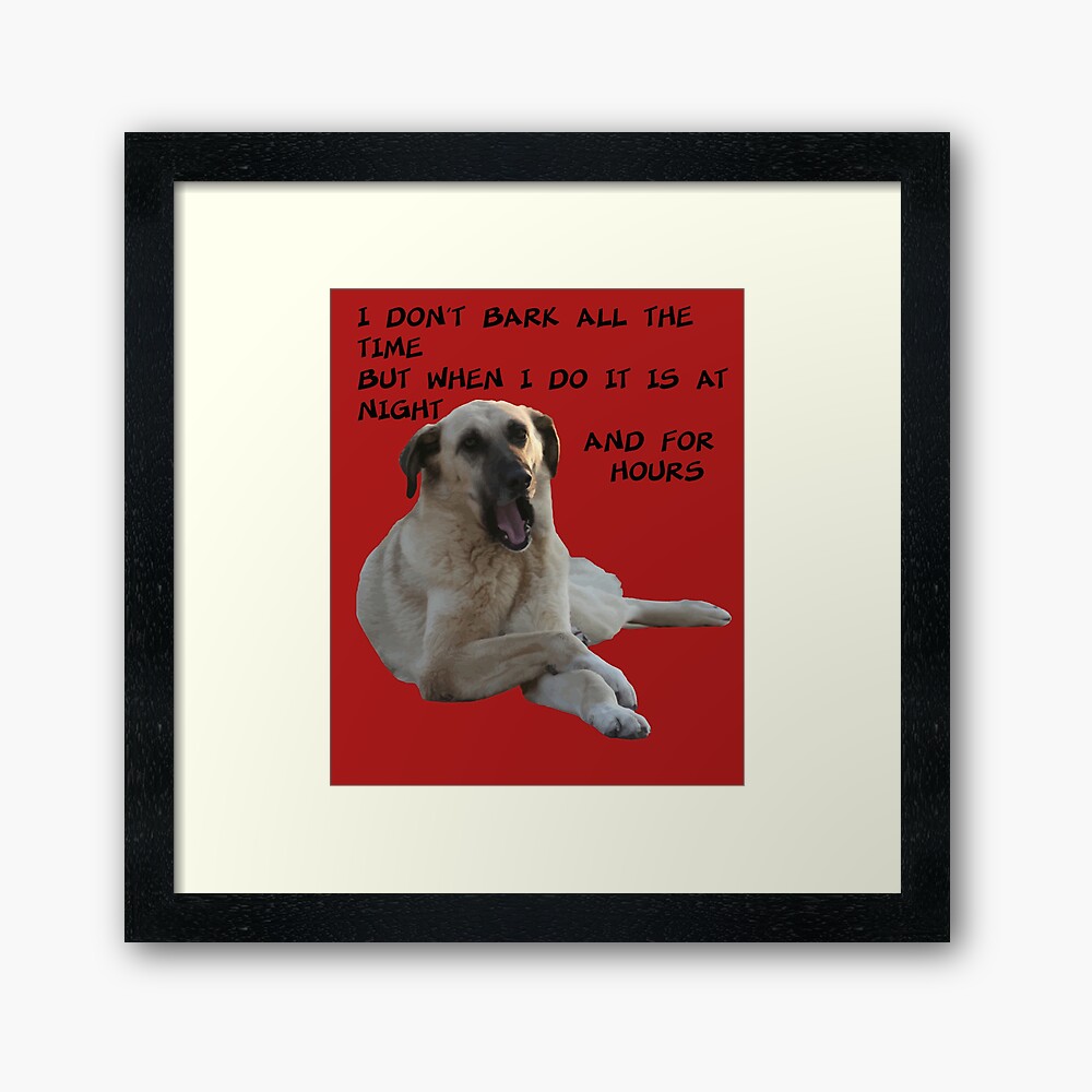 TaicheTees's tweet photo. "I Don't Bark All the Time Kangal With Cute Expression" Classic #TShirt for Sale by #taiche #redbubble #kangal #kangaldog #malakl #kangalyavrusu #trkangal #akba #dog #kangalk #sivaskangal #kangaltr #alabai #kangaldogs #r #akbas #kangala #dogs https://t.co/cILkJJ7dLC https://t.co/BPnKfzxs2f