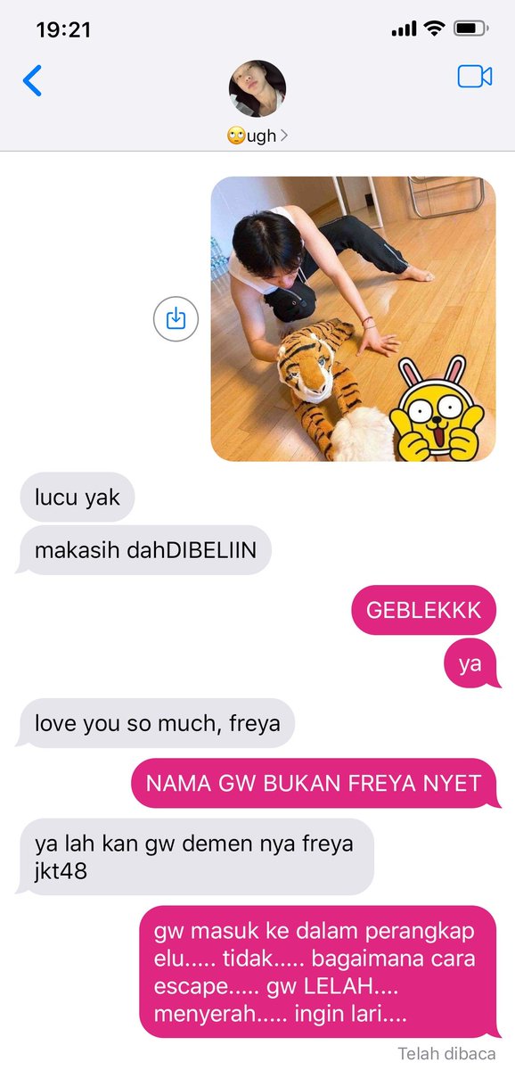 ...bonus &gt;__&lt; BONEKANYA SAMA !! HAHAHA ke ikea terus nemu dah tu boneka si inyong 🧞‍♂️ liat aje ntar kita marathon lari 500km siapa yg menang (gw bagian bunyiin peluit)