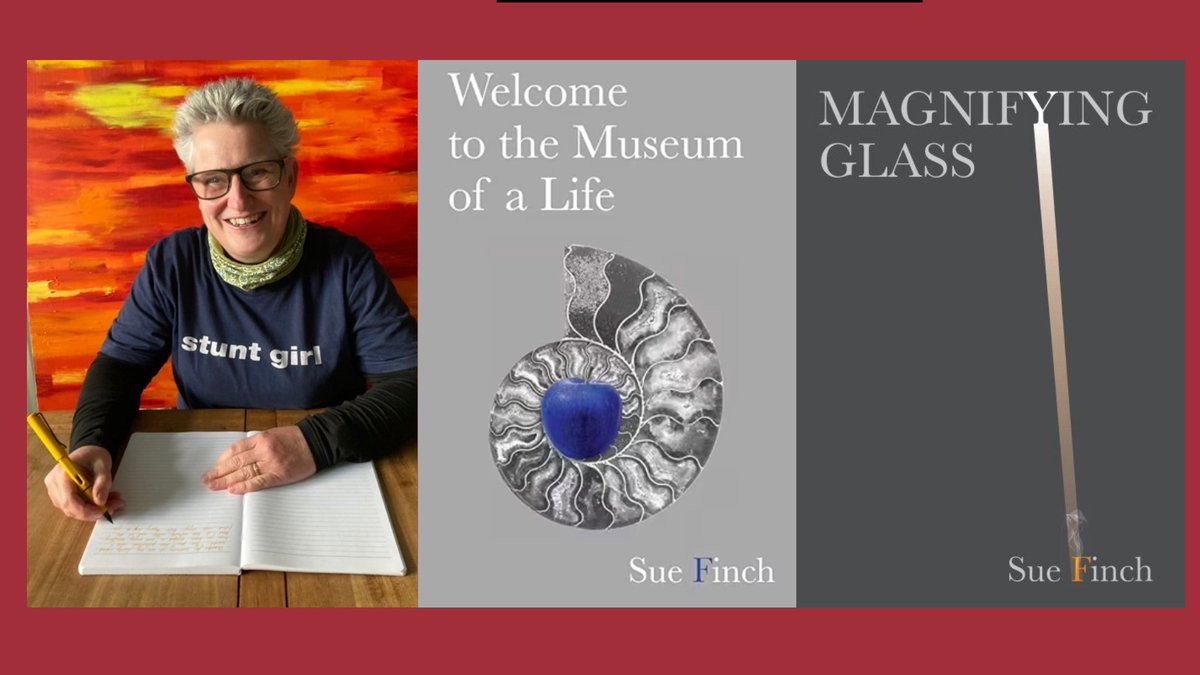 I'm really excited to bring back Sue Finch @soopoftheday to #PatriciasPen - Today chatting about brand new release 'Welcome to the Museum of a Life' You don't want to miss this. whitewingsbooks.com/2024/04/16/gue… #IARTG #poetrycommunity #poetrylovers #tuesdayvibe #poetrytwitter