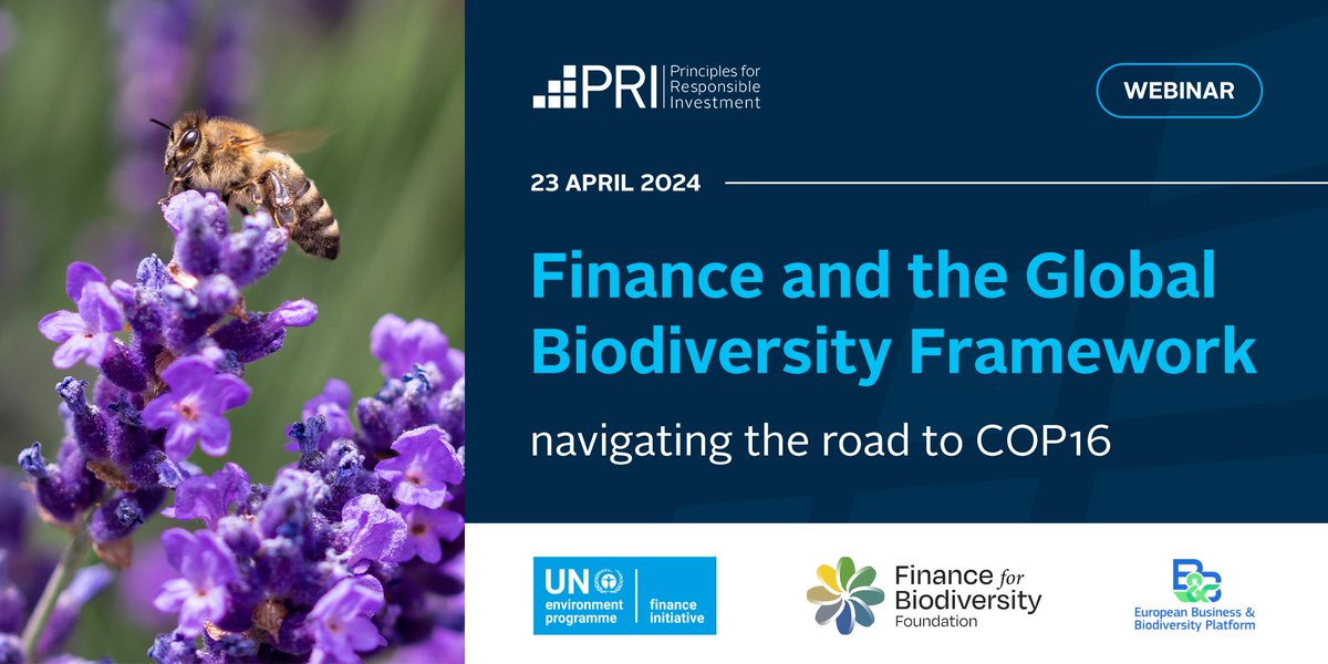 📅On April 23, join the Finance and the Global Biodiversity Framework webinar - navigating the road to #CoP16 Learn more on the preparations made by governments & private finance sectors to effectively implement the 🌍 Biodiversity Framework👉 brighttalk.com/webcast/17701/… #ForNature