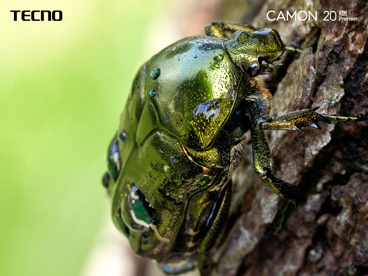 Capture the tiniest details in stunning close-up photos with vibrant colors and incredible sharpness. The Tecno Camon Series lets you see the world up close in all its glory. #ShotOnCamon #ShotOnCamon20Premier