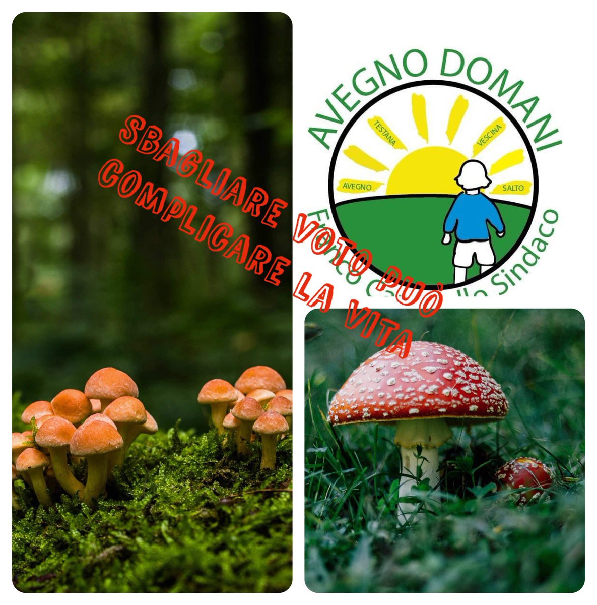 HugoFiamma's tweet image. Come dare torto