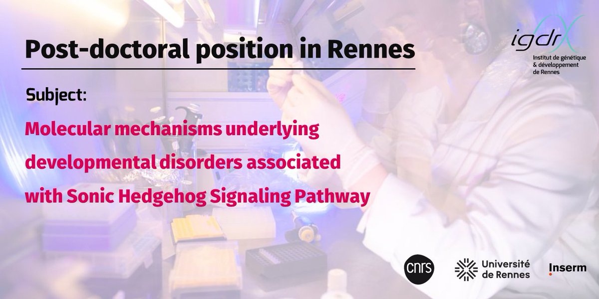 IGDR (@igdrennes) on Twitter photo 📢#job #employment #Brittany
Post-doctoral position <a href="/holoprosenceph/">holoprosencephaly</a> in the "Genetics of disorders related to neuroectodermal development" team led by <a href="/ValerieDupe/">Dupe Research group</a> <a href="/IGDRennes/">IGDR</a>
📍#Rennes
cc <a href="/CNRSbiologie/">CNRS Biologie</a> <a href="/CNRS_dr17/">CNRS Bretagne et Pays de la Loire</a> <a href="/RennesUniv/">Université de Rennes</a> <a href="/InsermGrdOuest/">Inserm Grand Ouest</a>
ℹ️igdr.univ-rennes.fr/en/post-doctor… 📢#job #employment #Brittany
Post-doctoral position <a href="/holoprosenceph/">holoprosencephaly</a> in the "Genetics of disorders related to neuroectodermal development" team led by <a href="/ValerieDupe/">Dupe Research group</a> <a href="/IGDRennes/">IGDR</a>
📍#Rennes
cc <a href="/CNRSbiologie/">CNRS Biologie</a> <a href="/CNRS_dr17/">CNRS Bretagne et Pays de la Loire</a> <a href="/RennesUniv/">Université de Rennes</a> <a href="/InsermGrdOuest/">Inserm Grand Ouest</a>
ℹ️igdr.univ-rennes.fr/en/post-doctor…