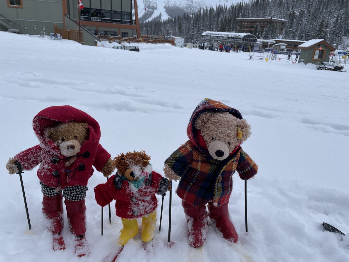 All ready for the slopes. #Flynn #FlynnTheBear #Sunshinevillage