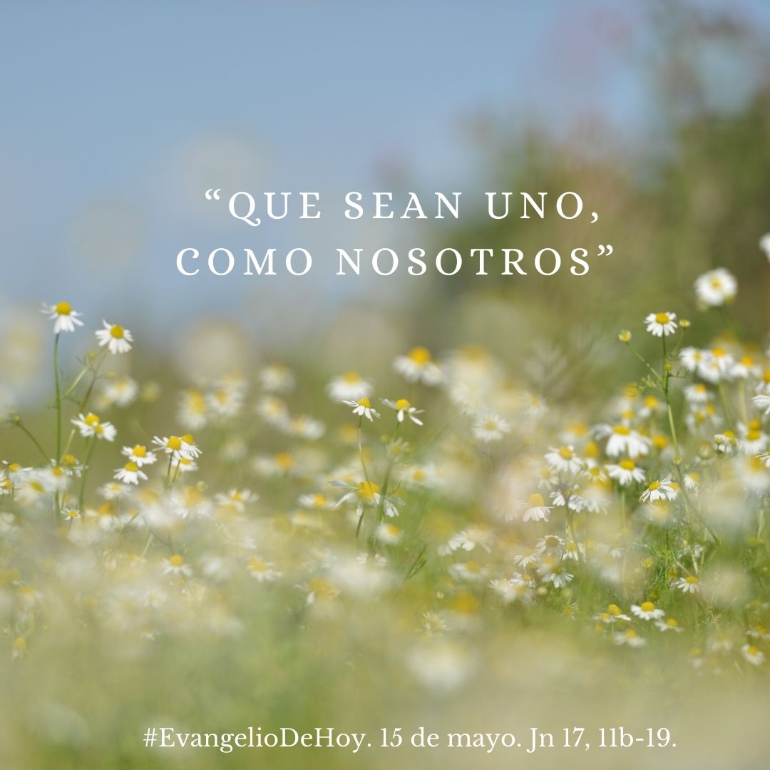 #EvangelioDeHoy. 15 de mayo. Jn 17, 11b-19. “Que sean uno, como nosotros”.