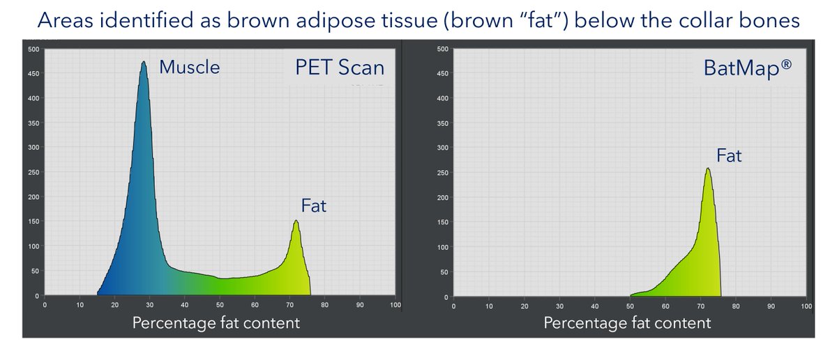bodymapdigital's tweet photo. #BAT brown fat should be identifiable has #FAT. I'm glad you agree #BatMap. https://t.co/TyXjzC3vbx