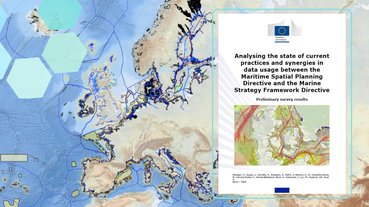 EU MSP Platform tweet media