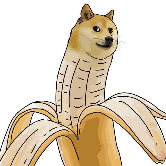 RawDogeSol's tweet photo. @shahh $rwdg innit https://t.co/RNN7ChMcdX