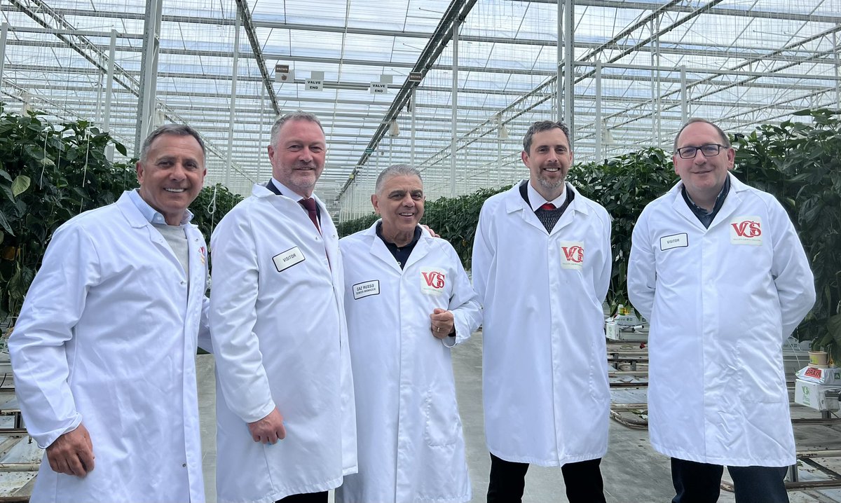 Jim & Vince Russo were pleased to host a visit from @SteveReedMP the Shadow Secretary of State for Environment, Food & Rural Affairs & @ChrisJVince @HarlowLabour Hope you enjoyed the British Tomatoes, Peppers & Aubergines. #Backbritishfarming #Buybritish @NFUtweets #Leavalley