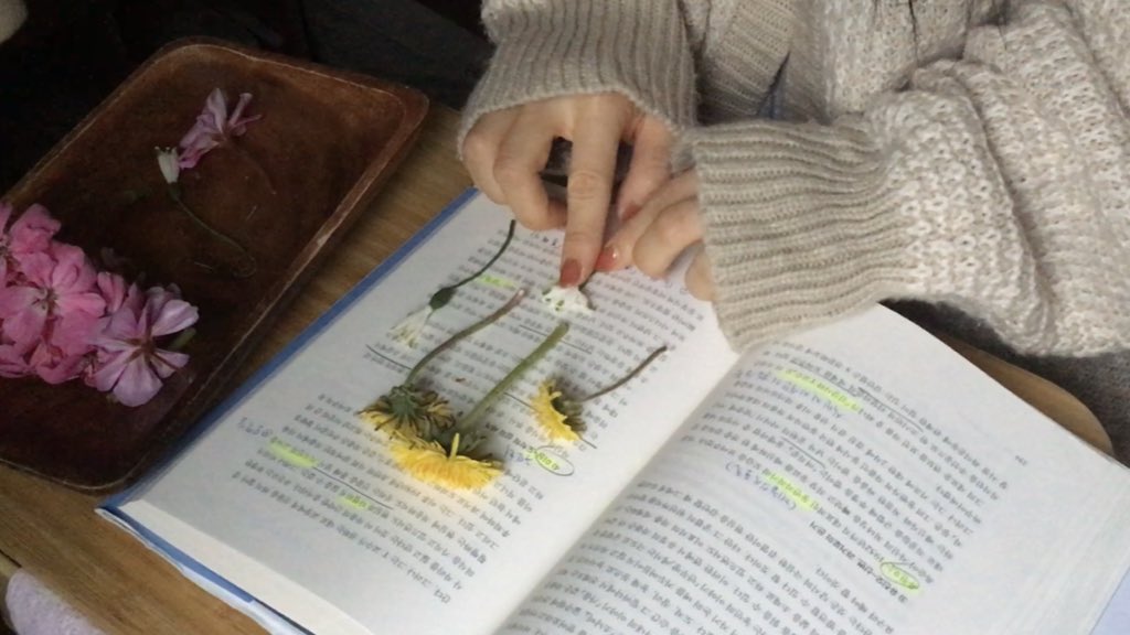 s6ort's tweet image. love letter (1995, 2024)