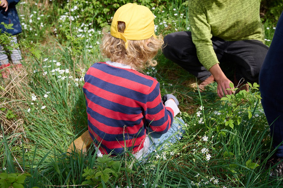 IPlantATree's tweet photo. Bilder von der Pflanzaktion am Samstag in Blankenheim. Vielen Dank nochmal an alle kleinen und großen Helfer für die tatkräftige Unterstützung! 👍 https://t.co/aOMkRST9Wo