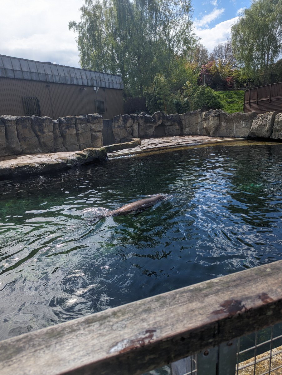 Uptonclass2MF's tweet photo. Lunch time ☑️ jungle jambaree ☑️ seals ☑️ next stop, penguins! 🐧 https://t.co/O1j45zmcyG