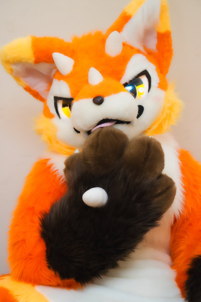 moonwolfen's tweet image. うちの子紹介‼️
プラード 🐕✨
トリック🦊🐉
ニクス🧸🐕
ウインディ🐕🔥
他にもないと(黒狼)やしすい(ボーダーコリー♀)やアル(バーニーズのハーフ)が居たりします!見かけたらぜひ遊んであげてください‼️
#FursuitEverday