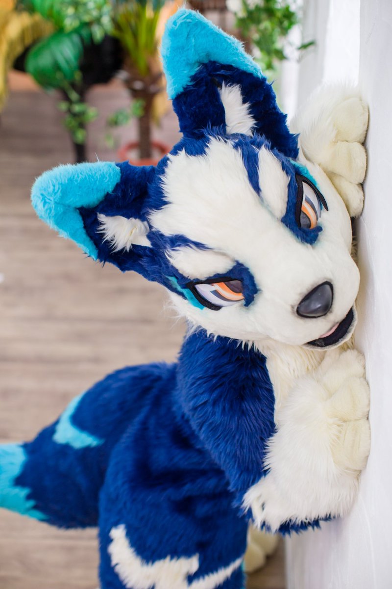 moonwolfen's tweet image. うちの子紹介‼️
プラード 🐕✨
トリック🦊🐉
ニクス🧸🐕
ウインディ🐕🔥
他にもないと(黒狼)やしすい(ボーダーコリー♀)やアル(バーニーズのハーフ)が居たりします!見かけたらぜひ遊んであげてください‼️
#FursuitEverday