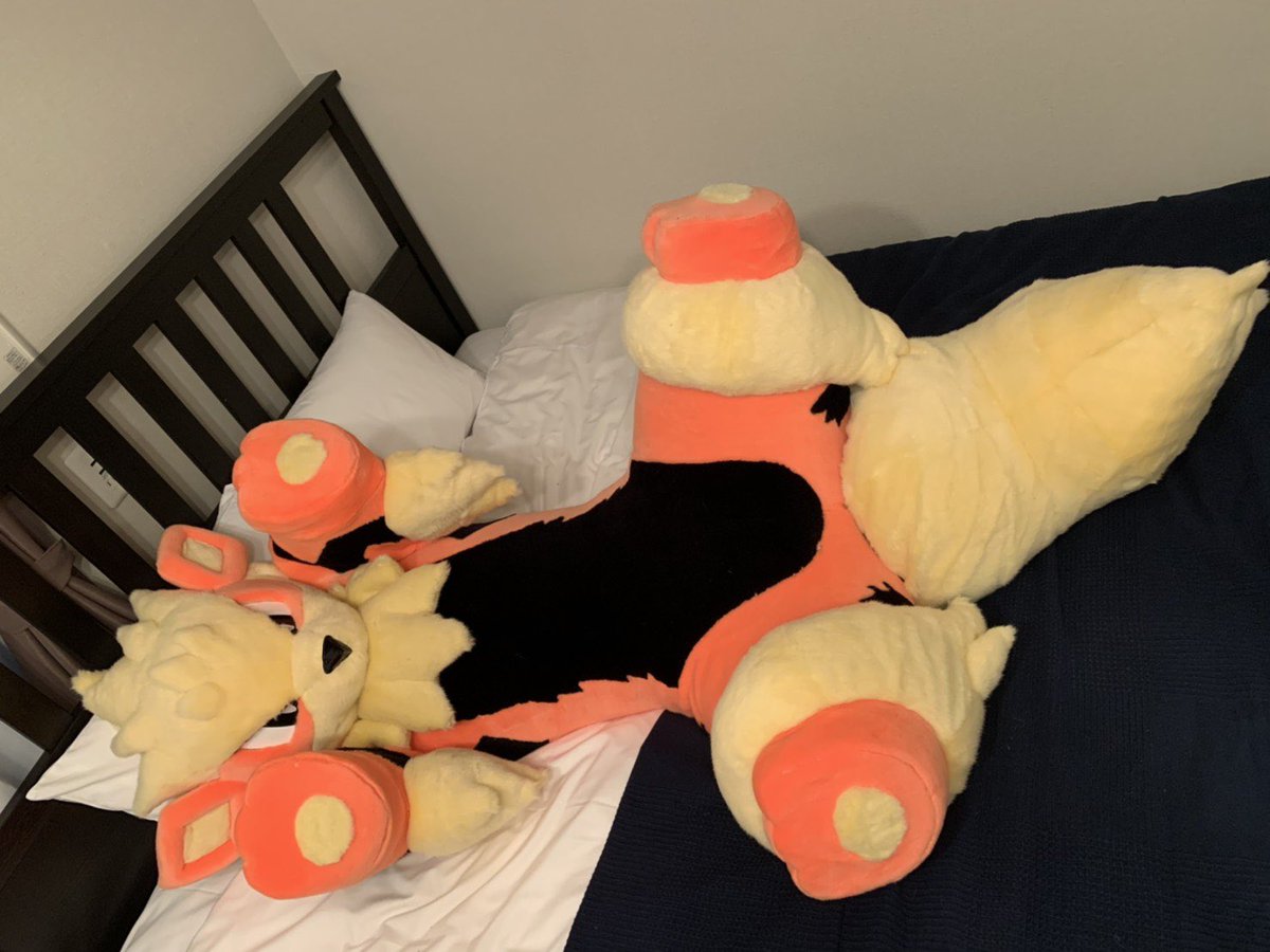 moonwolfen's tweet image. うちの子紹介‼️
プラード 🐕✨
トリック🦊🐉
ニクス🧸🐕
ウインディ🐕🔥
他にもないと(黒狼)やしすい(ボーダーコリー♀)やアル(バーニーズのハーフ)が居たりします!見かけたらぜひ遊んであげてください‼️
#FursuitEverday