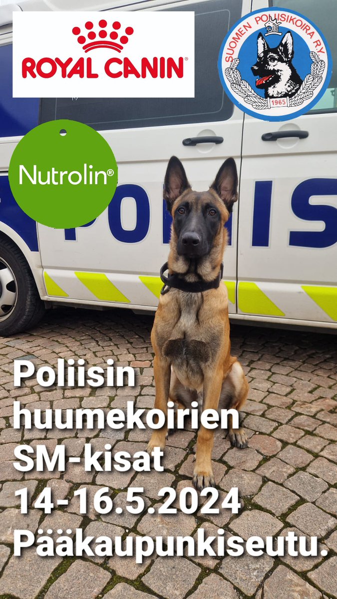 mrkallekos's tweet photo. Poliisin huumekoirien SM-kisat 14-16.5.2024 pääkaupunkiseudulla. 

Yleisörasteja tulossa ja niistä infotaan lähempänä.

#poliisikoirayhdistys Nutrolin Koirat Royal Canin #poliisikoira #nutrolin #royalcanin #suomenpoliisi https://t.co/OGGiL2NQhF