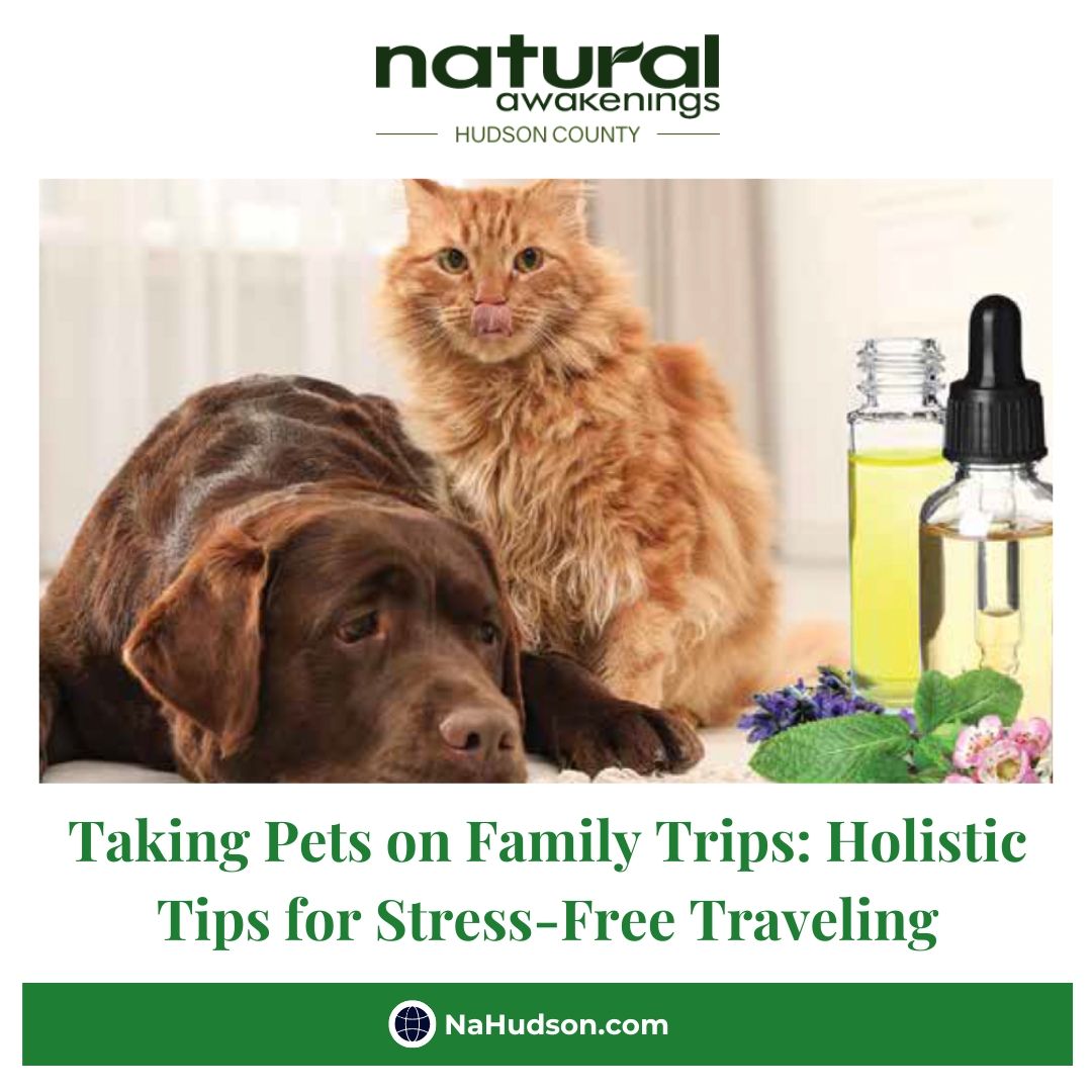 Taking Pets on Family Trips: Holistic Tips for Stress-Free Traveling nahudson.com/2024/03/29/485… 

#pets #dogs #cats #familytrips #stressfree #travelling #hudsoncounty #newjersey