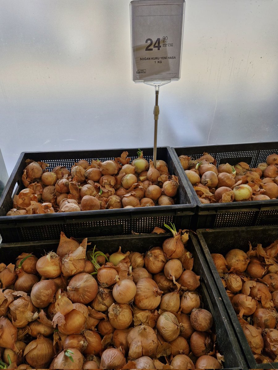 #Carrefour yeni hasat diye satılan soğana  bakın.